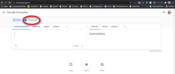 Skjermdump av nettsiden til Google Translate