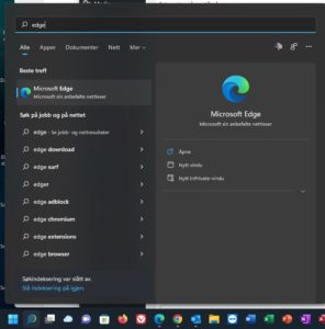 Søkefeltet på Windows 11