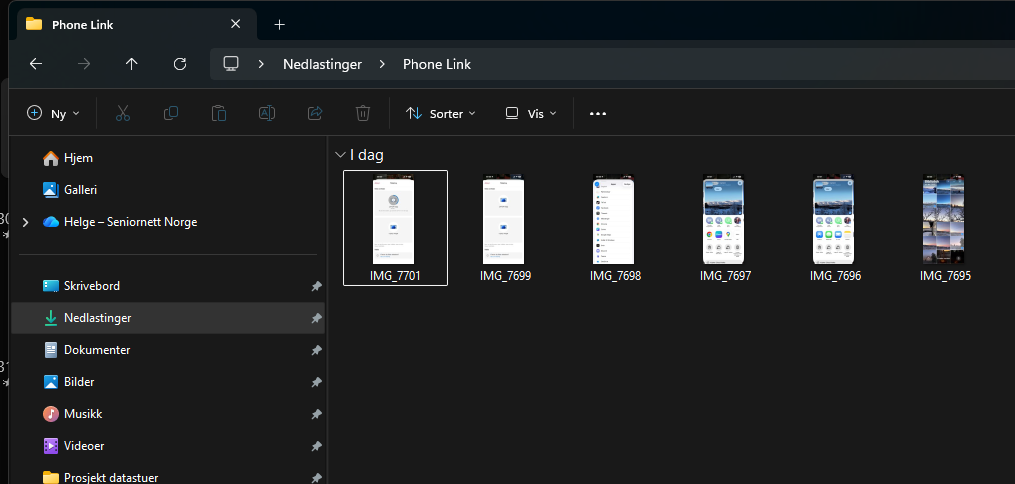 Nedlastingsmappen filutforsker